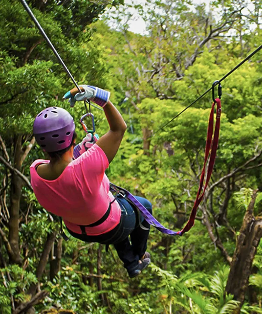 Canopy Tour at Go Adventure Park
