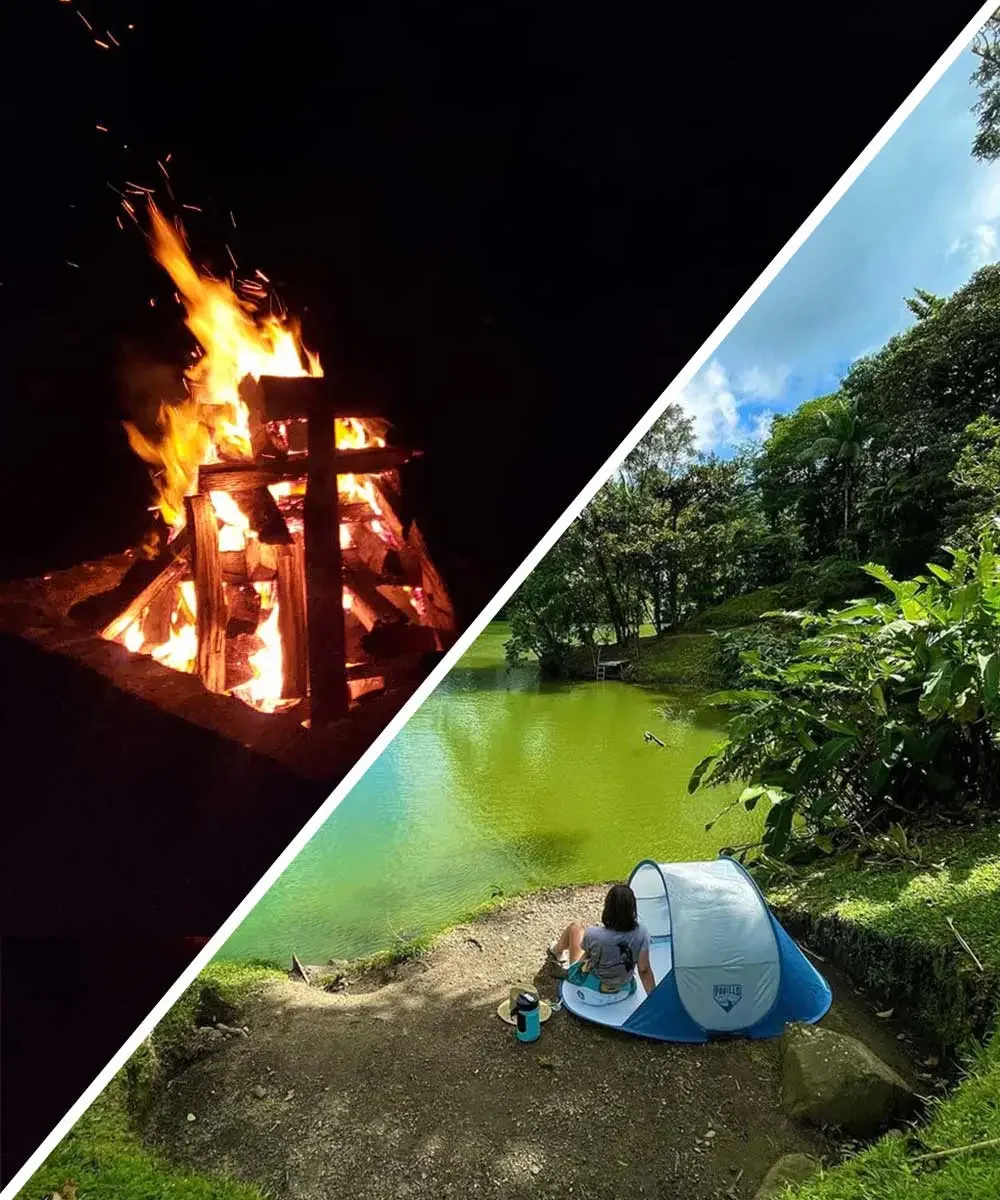 Camping Night (per person)